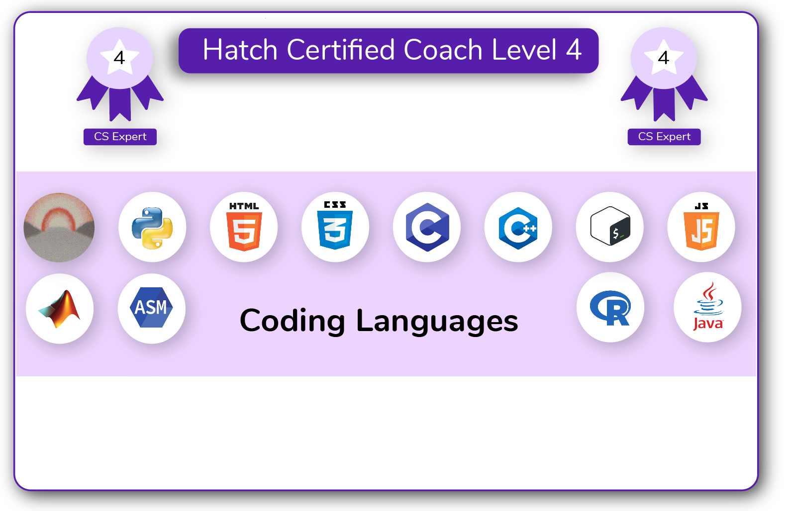 Coach Certification Level